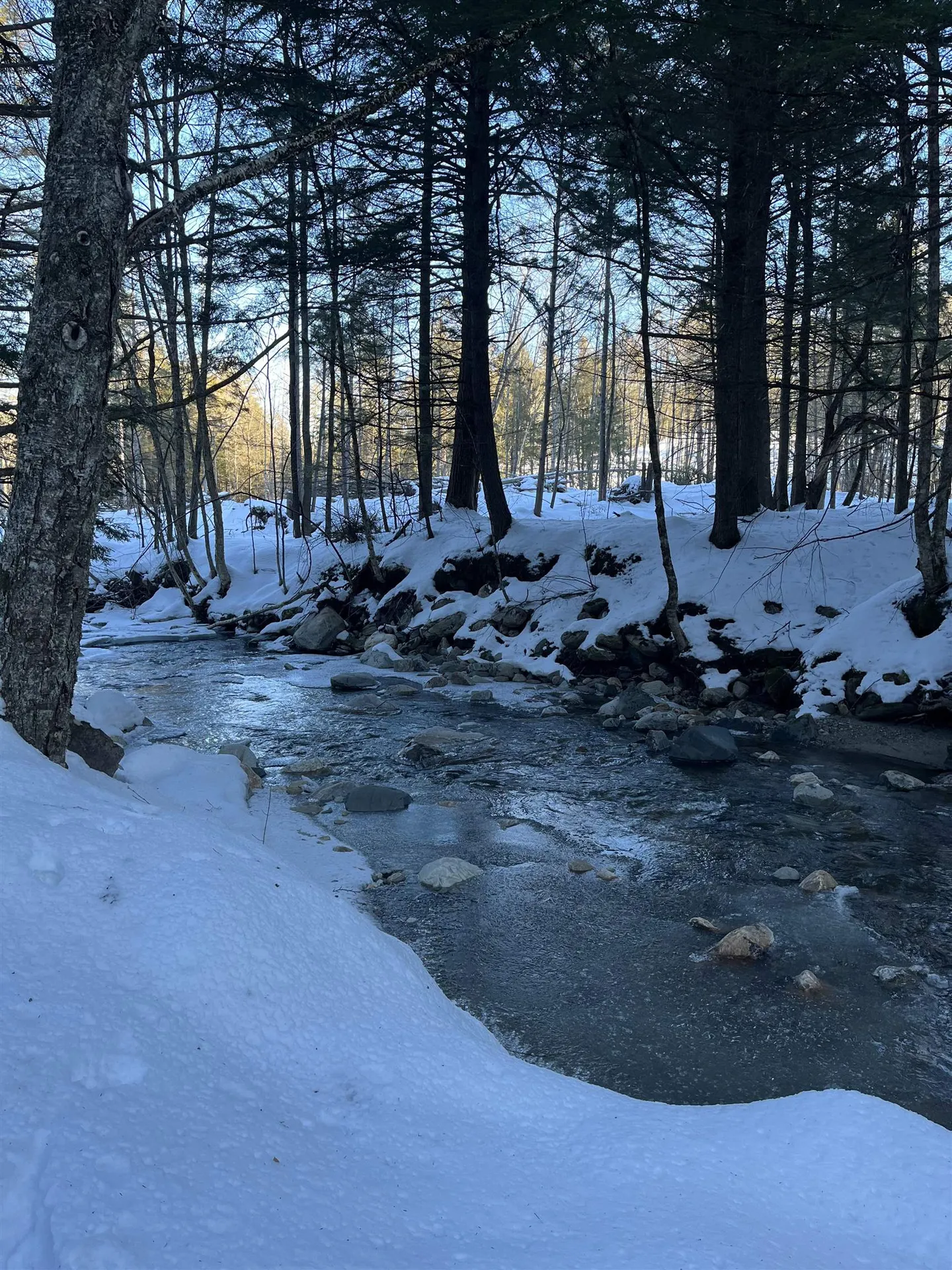 Macginnis Drive Ludlow VT 05149