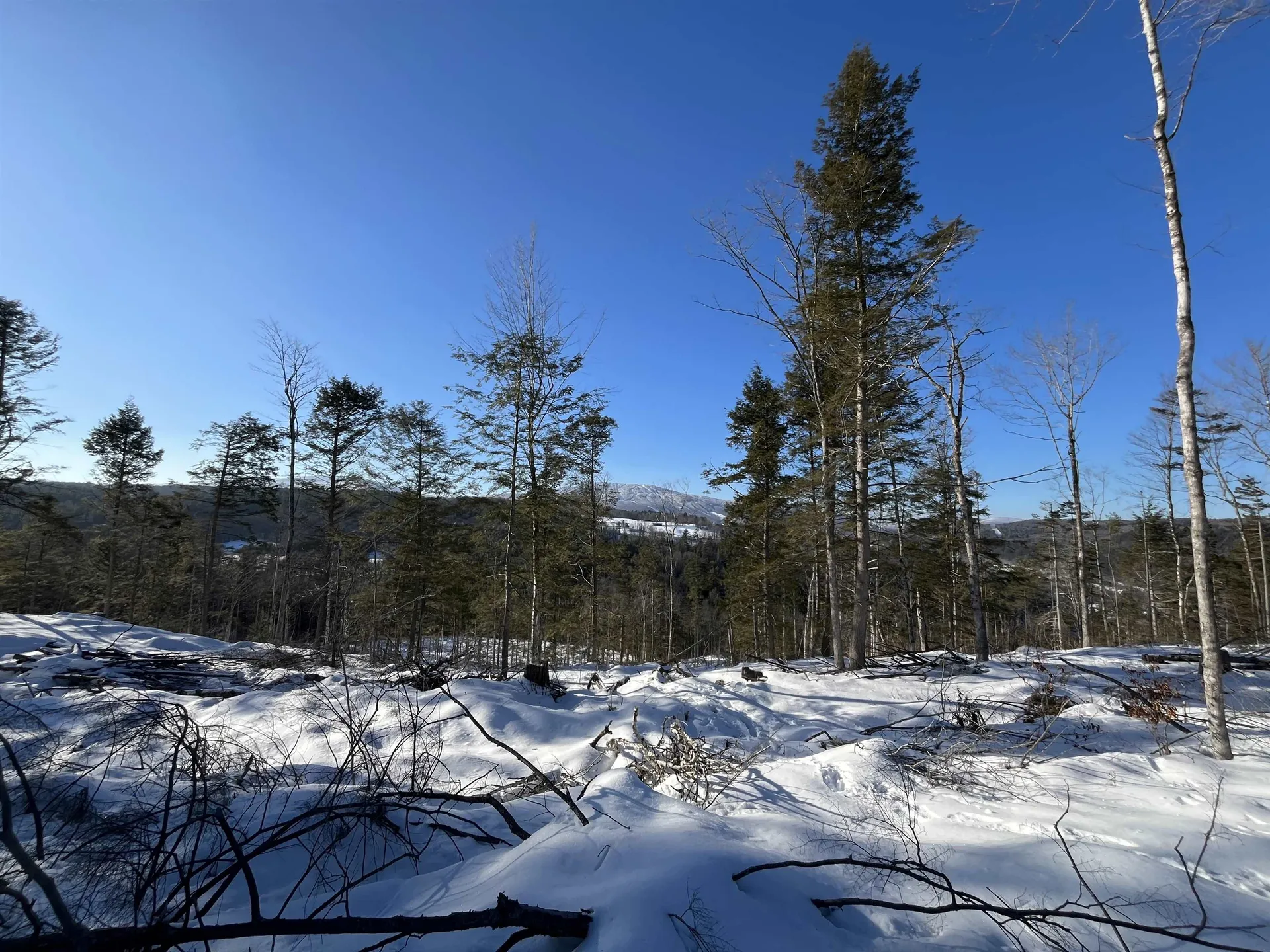 Macginnis Drive Ludlow VT 05149