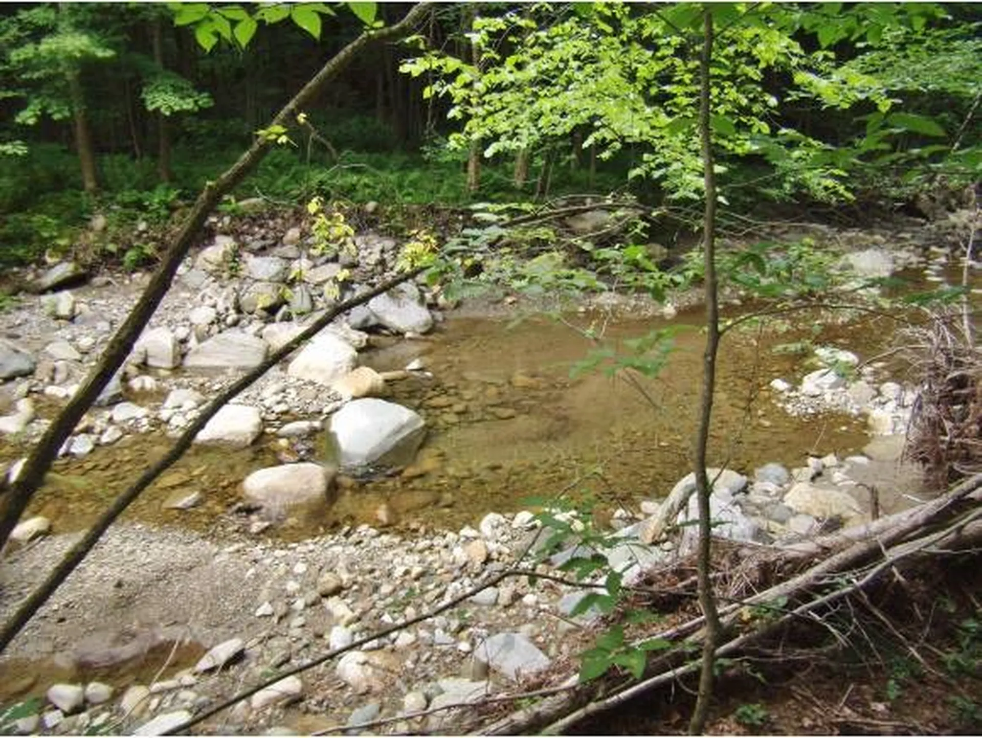 Macginnis Drive Ludlow VT 05149