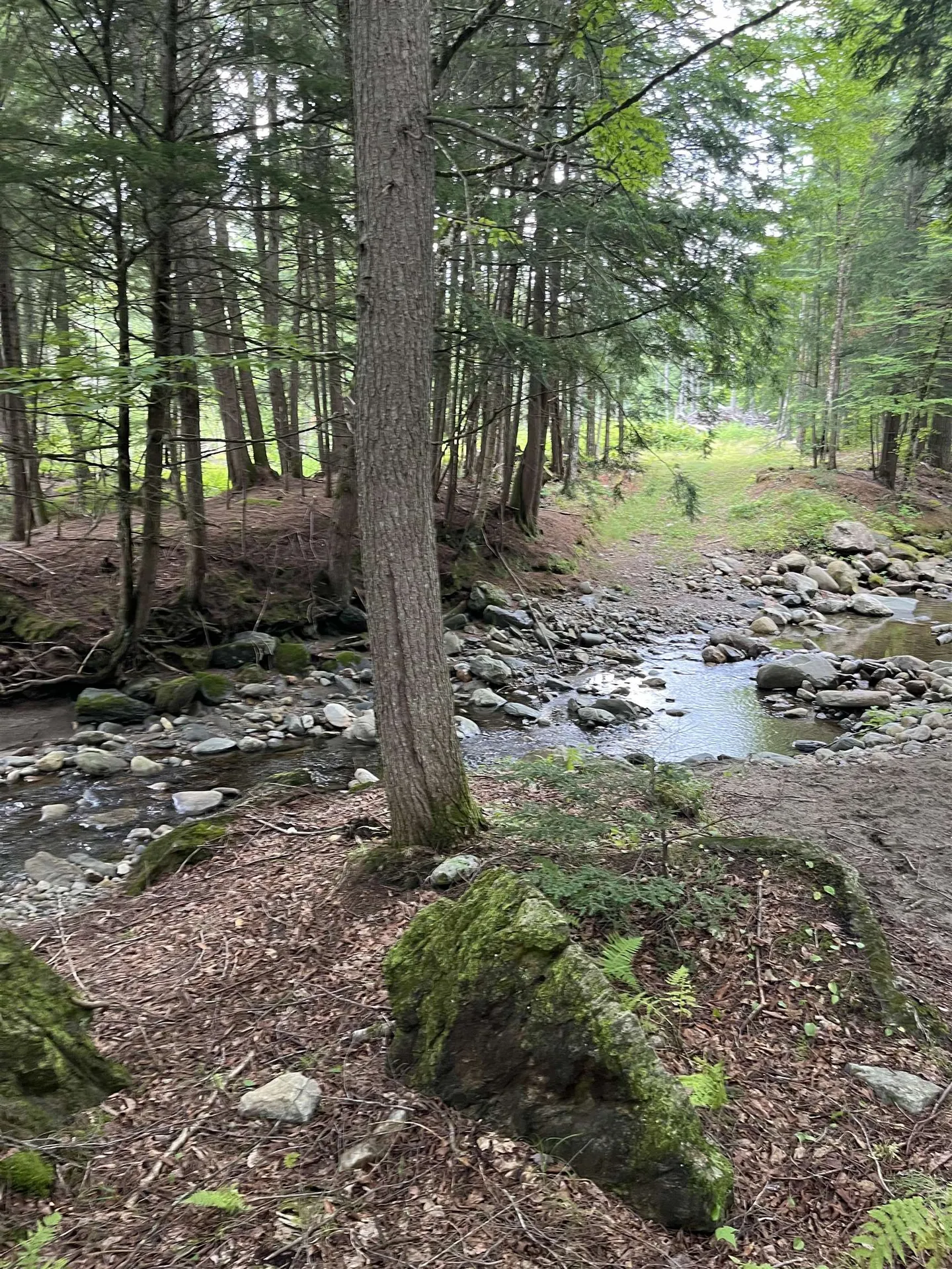 Macginnis Drive Ludlow VT 05149