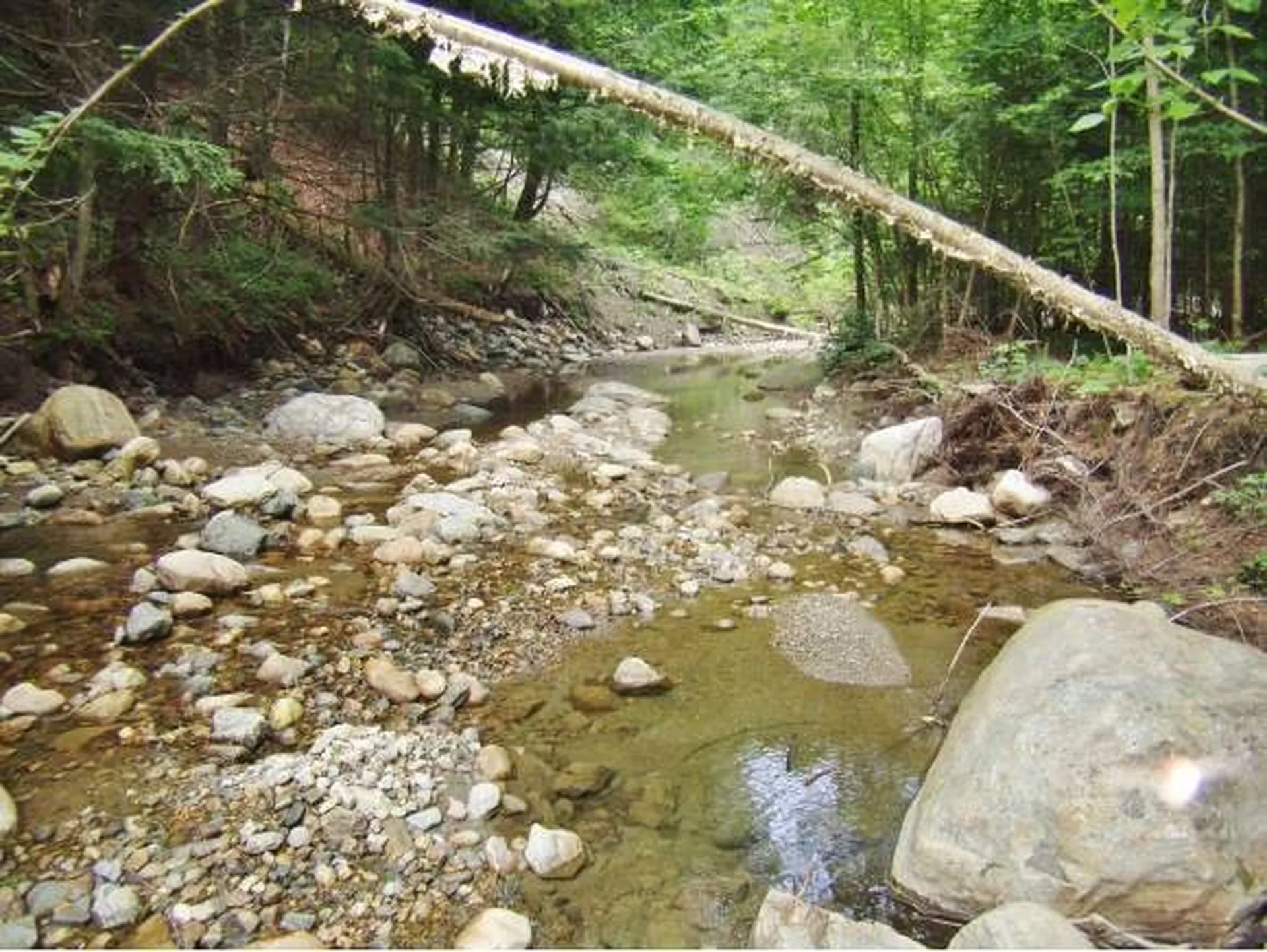 Macginnis Drive Ludlow VT 05149