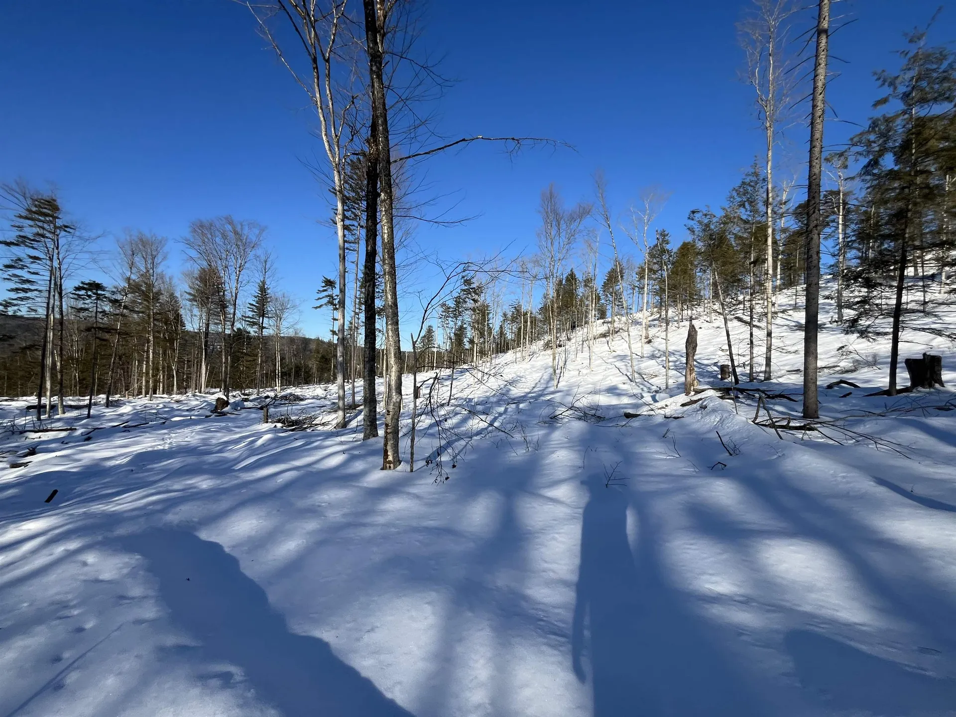 Macginnis Drive Ludlow VT 05149