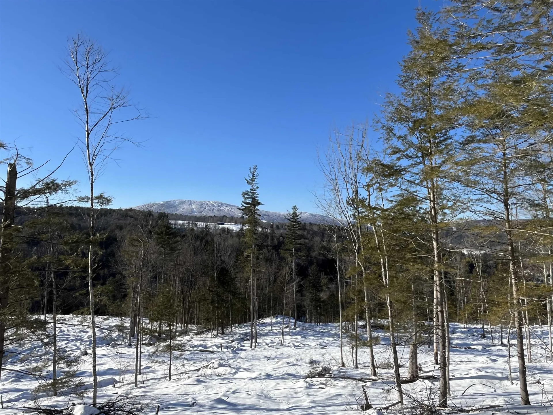 Macginnis Drive Ludlow VT 05149