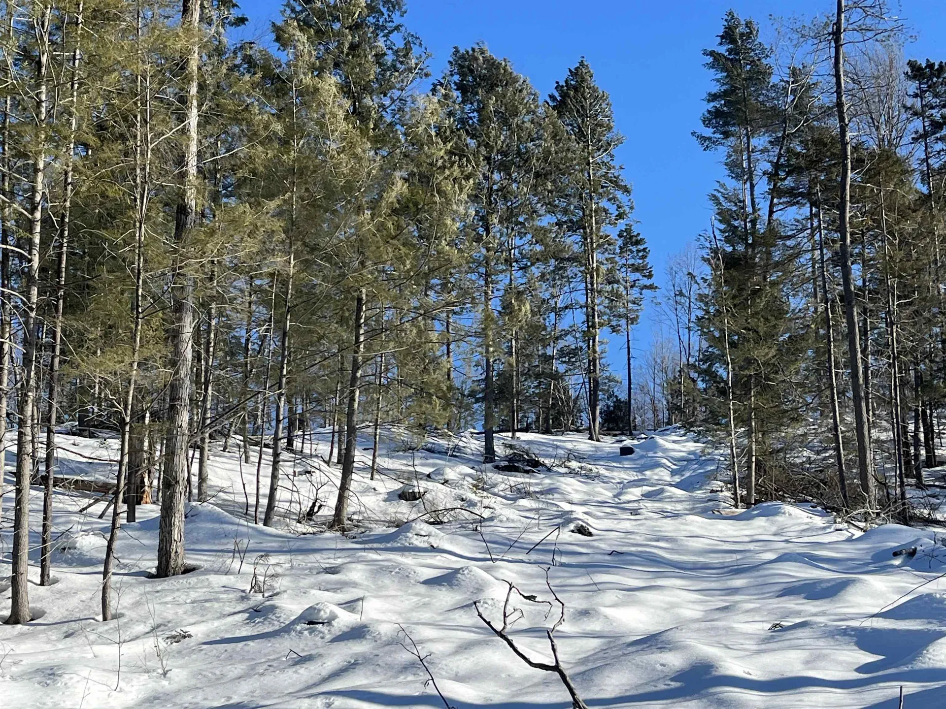 Macginnis Drive Ludlow VT 05149