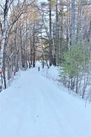 Macginnis Drive Ludlow VT 05149