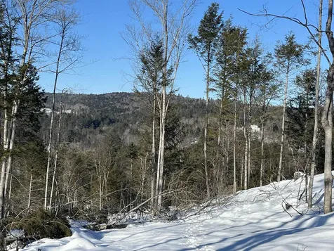 Macginnis Drive Ludlow VT 05149