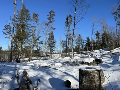 Macginnis Drive Ludlow VT 05149