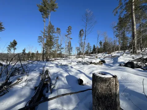 Macginnis Drive Ludlow VT 05149