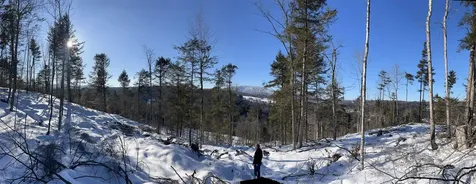 Macginnis Drive Ludlow VT 05149