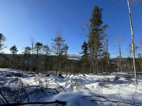 Macginnis Drive Ludlow VT 05149