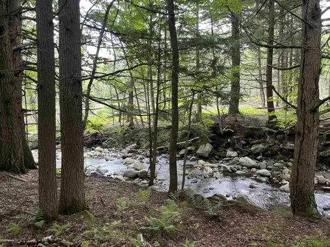 Macginnis Drive Ludlow VT 05149