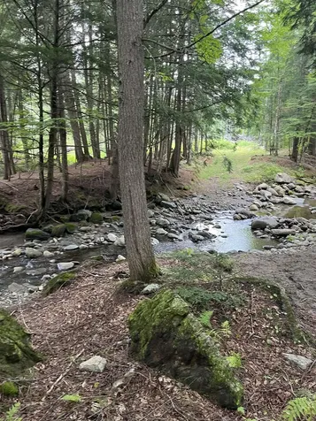 Macginnis Drive Ludlow VT 05149