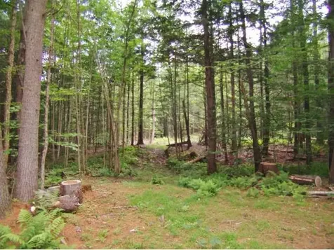 Macginnis Drive Ludlow VT 05149