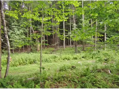 Macginnis Drive Ludlow VT 05149