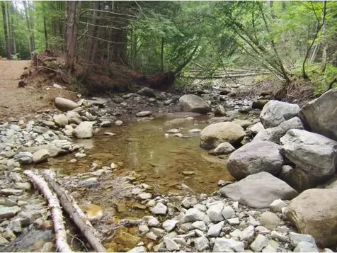 Macginnis Drive Ludlow VT 05149