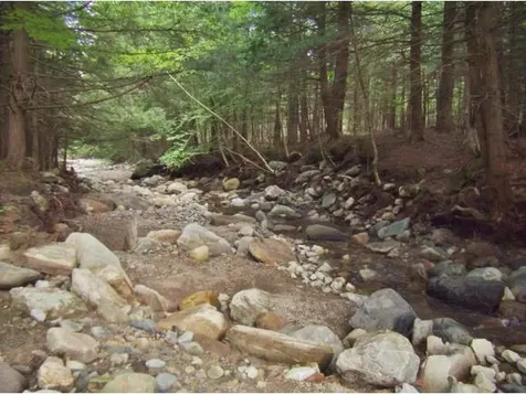 Macginnis Drive Ludlow VT 05149