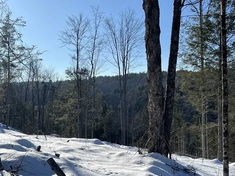 Macginnis Drive Ludlow VT 05149