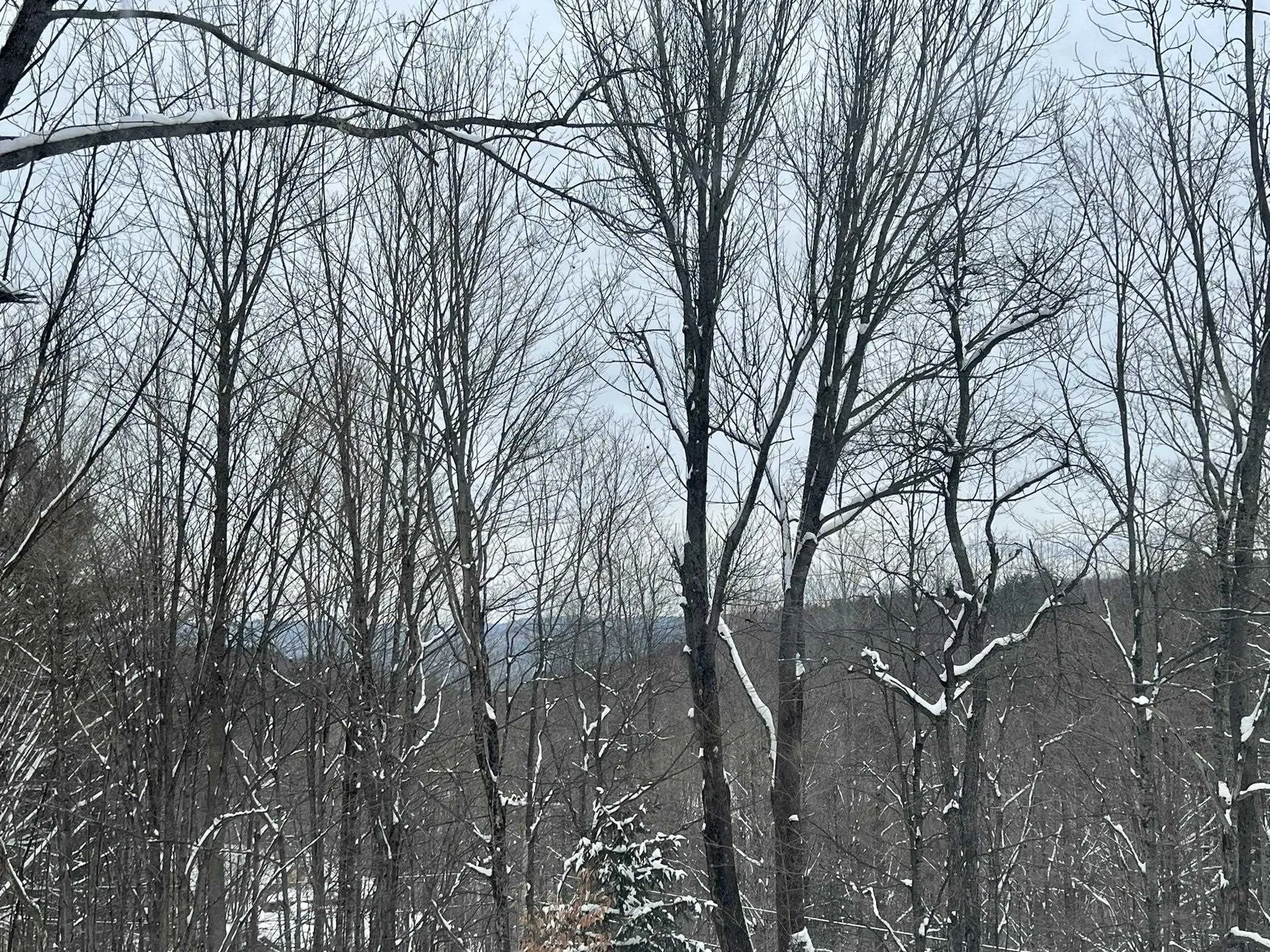 864 Old Town Farm Road Hartford VT 05059
