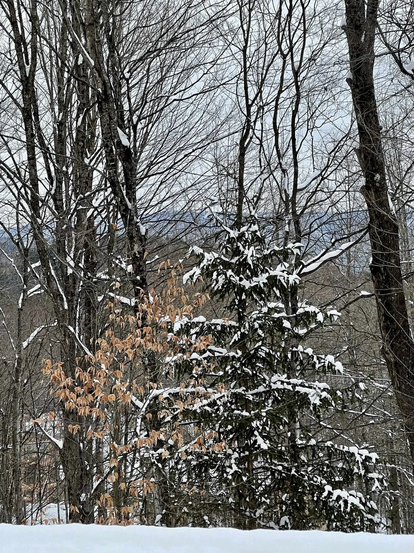 864 Old Town Farm Road Hartford VT 05059