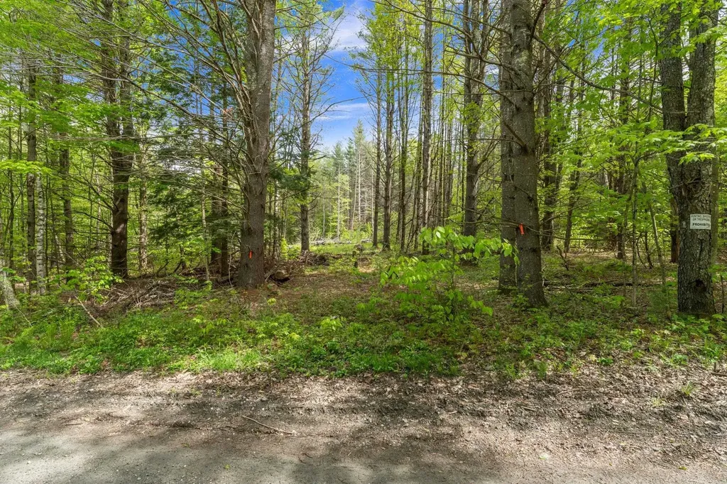 0 Sarum Hill Lane Randolph VT 05060