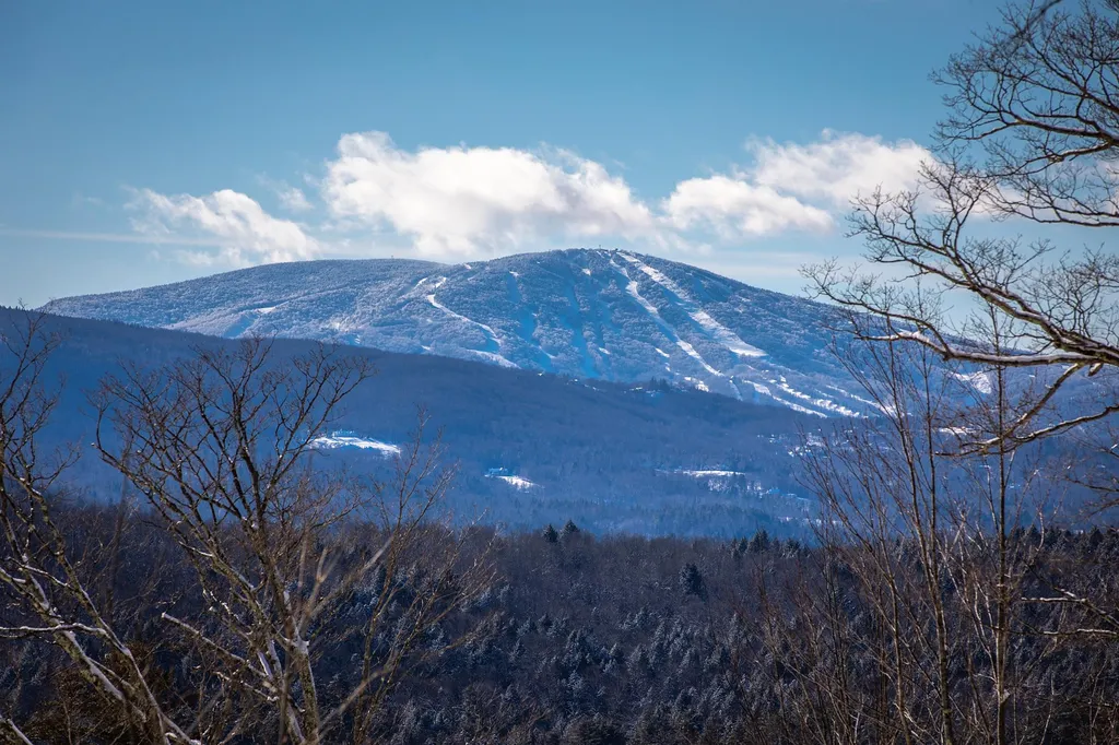 1375 Under The Mountain Road Londonderry VT 05155