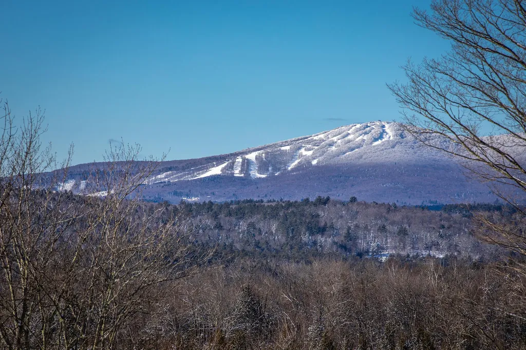 1375 Under The Mountain Road Londonderry VT 05155
