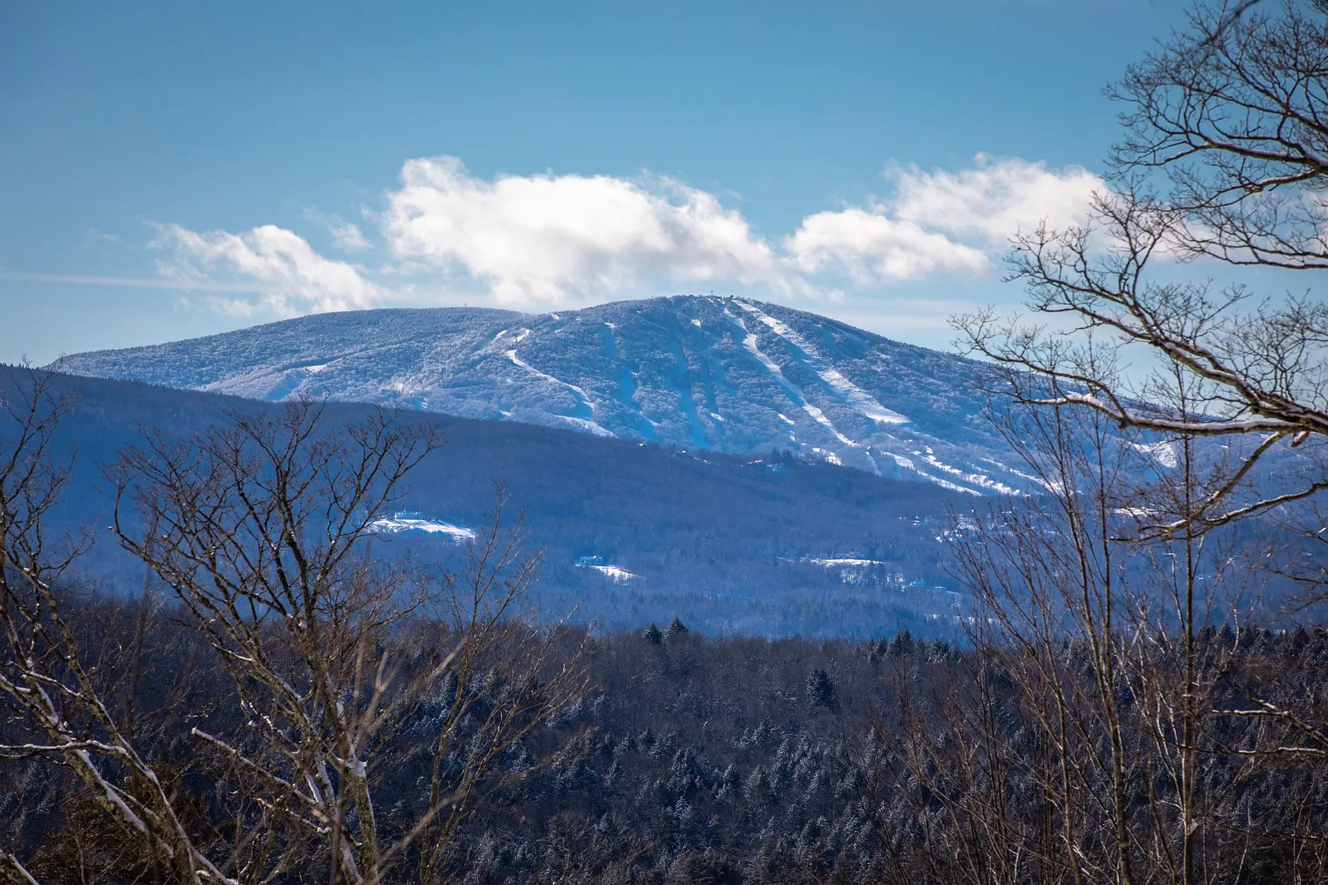 1375 Under The Mountain Road Londonderry VT 05155