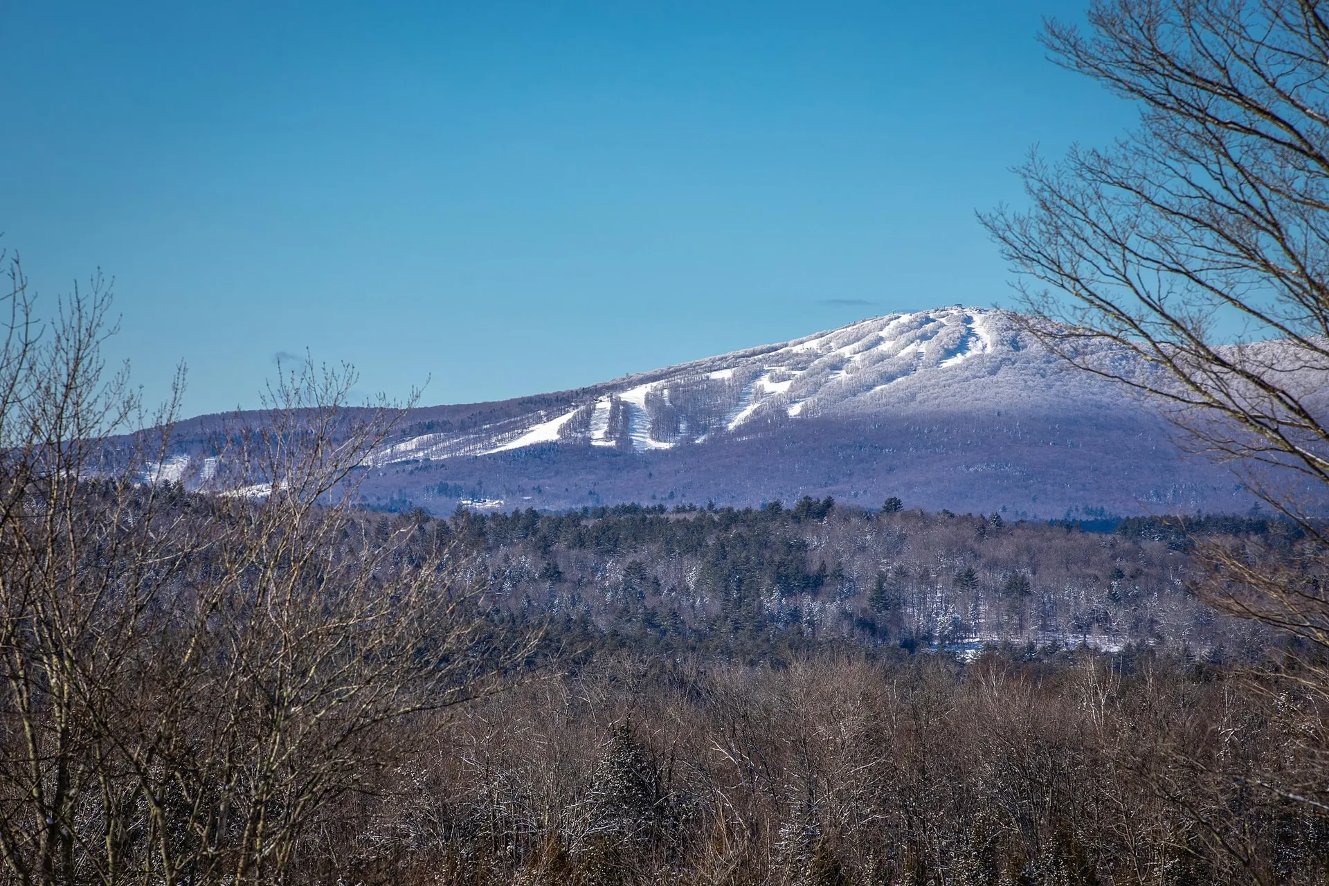 1375 Under The Mountain Road Londonderry VT 05155