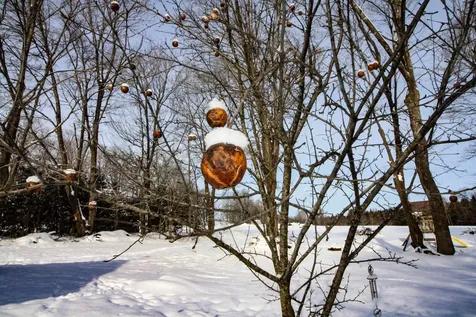 41 Burke Road Sutton VT 05867