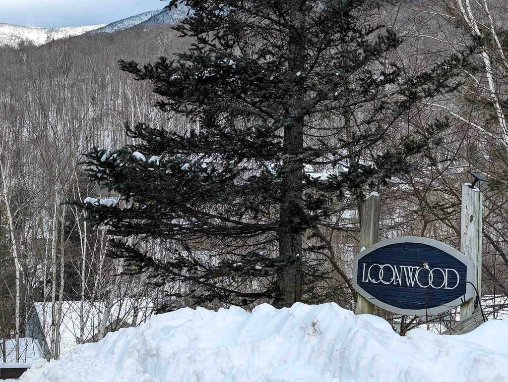 107 Black Mountain Road Lincoln NH 03251