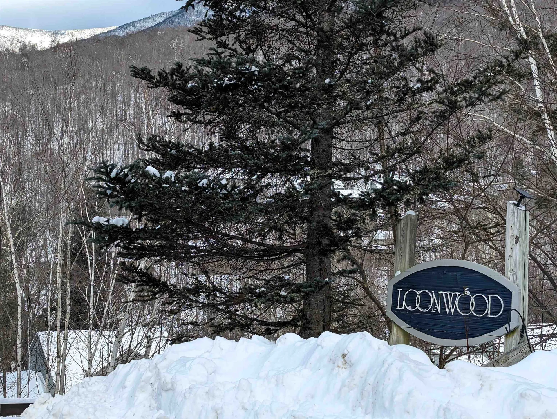 107 Black Mountain Road Lincoln NH 03251