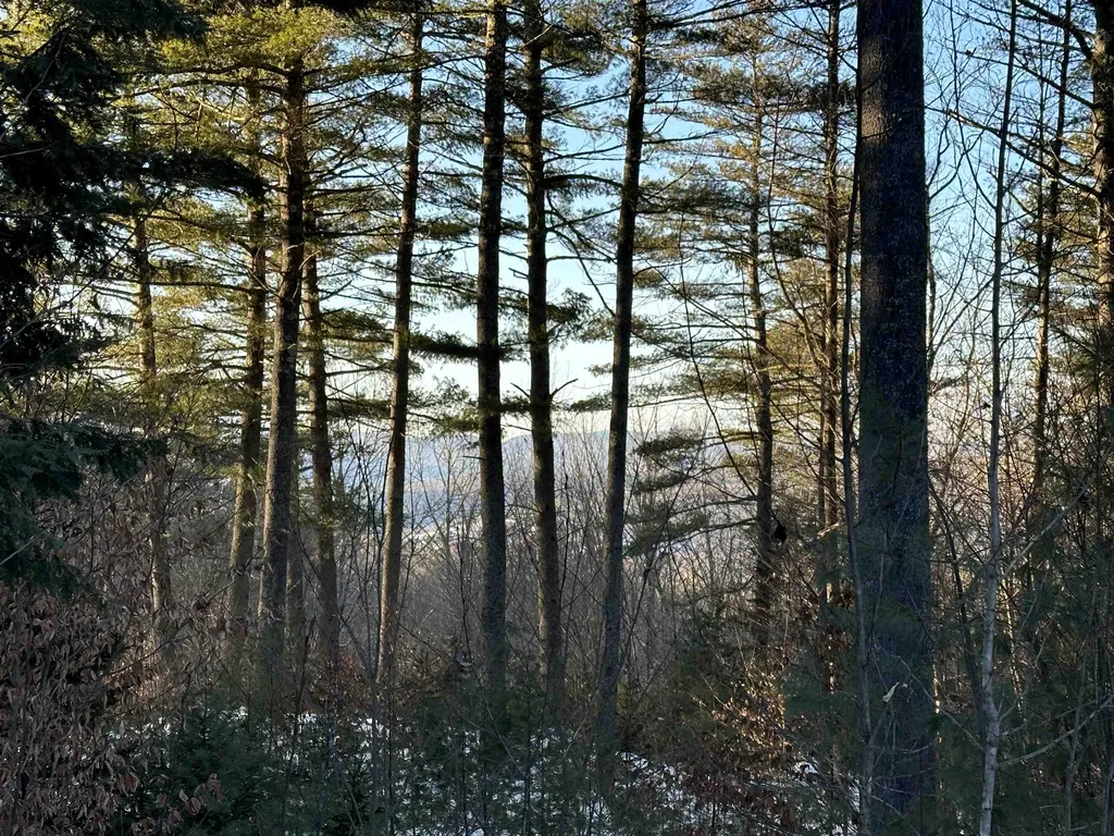 0 Fish Hill Road Randolph VT 05060