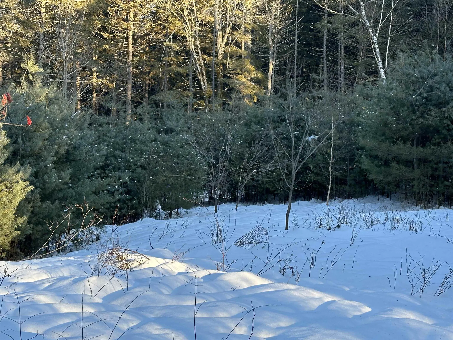 0 Fish Hill Road Randolph VT 05060