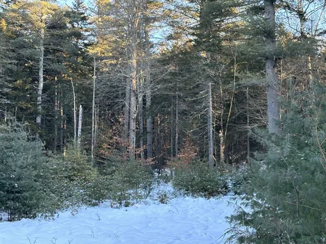 0 Fish Hill Road Randolph VT 05060