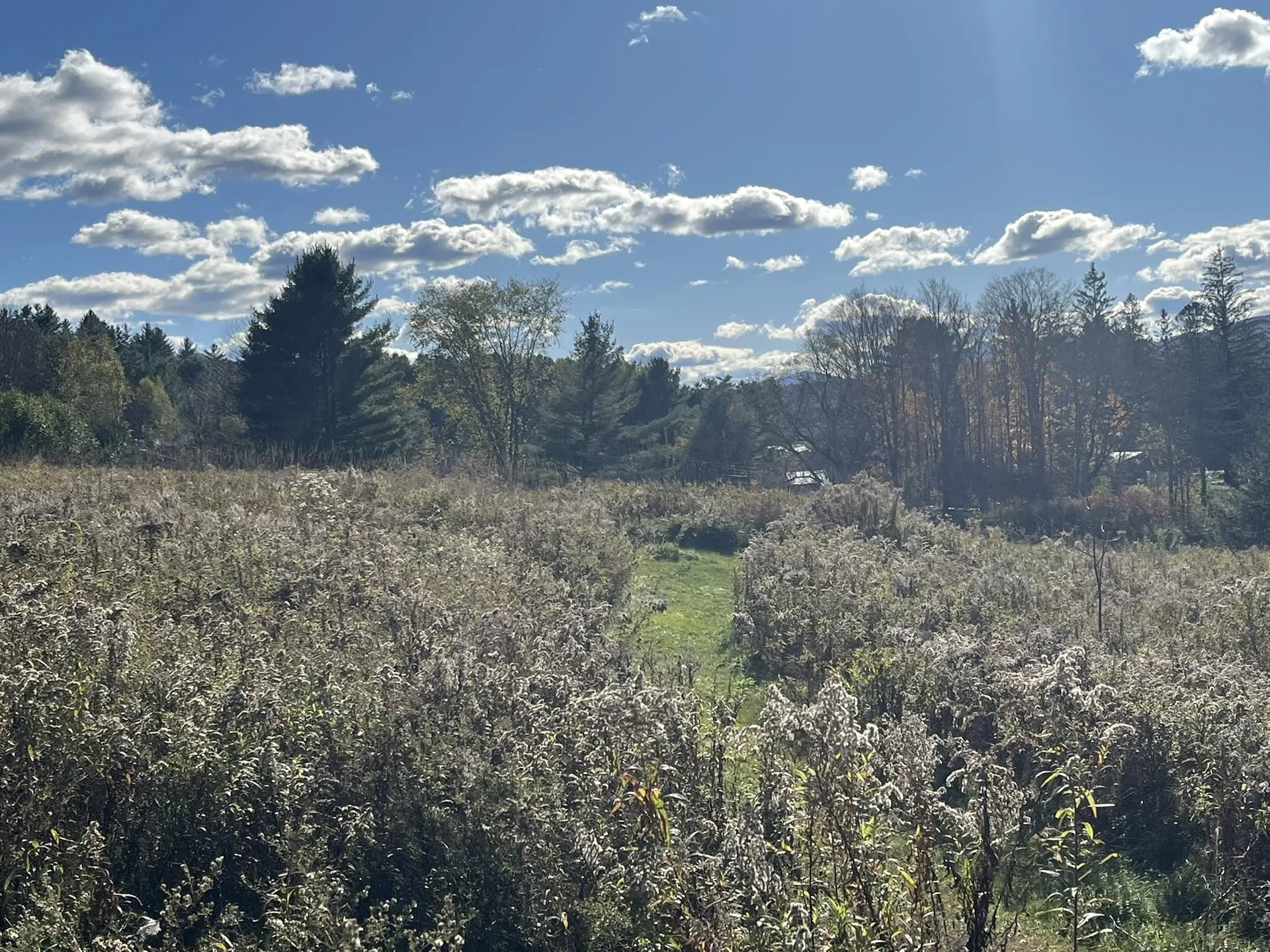 0 Old Farm Road Stowe VT 05672