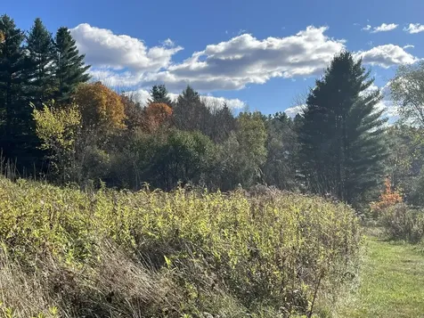 0 Old Farm Road Stowe VT 05672