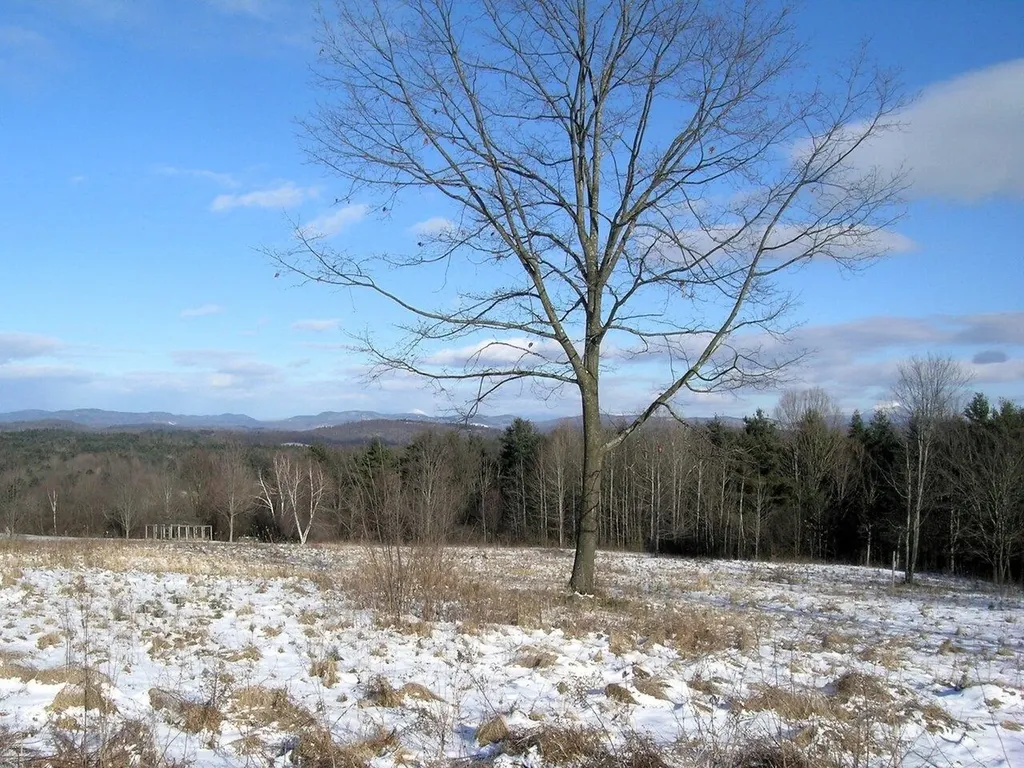 531 Breezy Hill Acres Monkton VT 05469