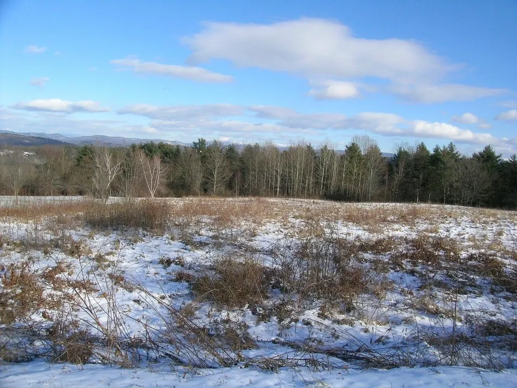531 Breezy Hill Acres Monkton VT 05469