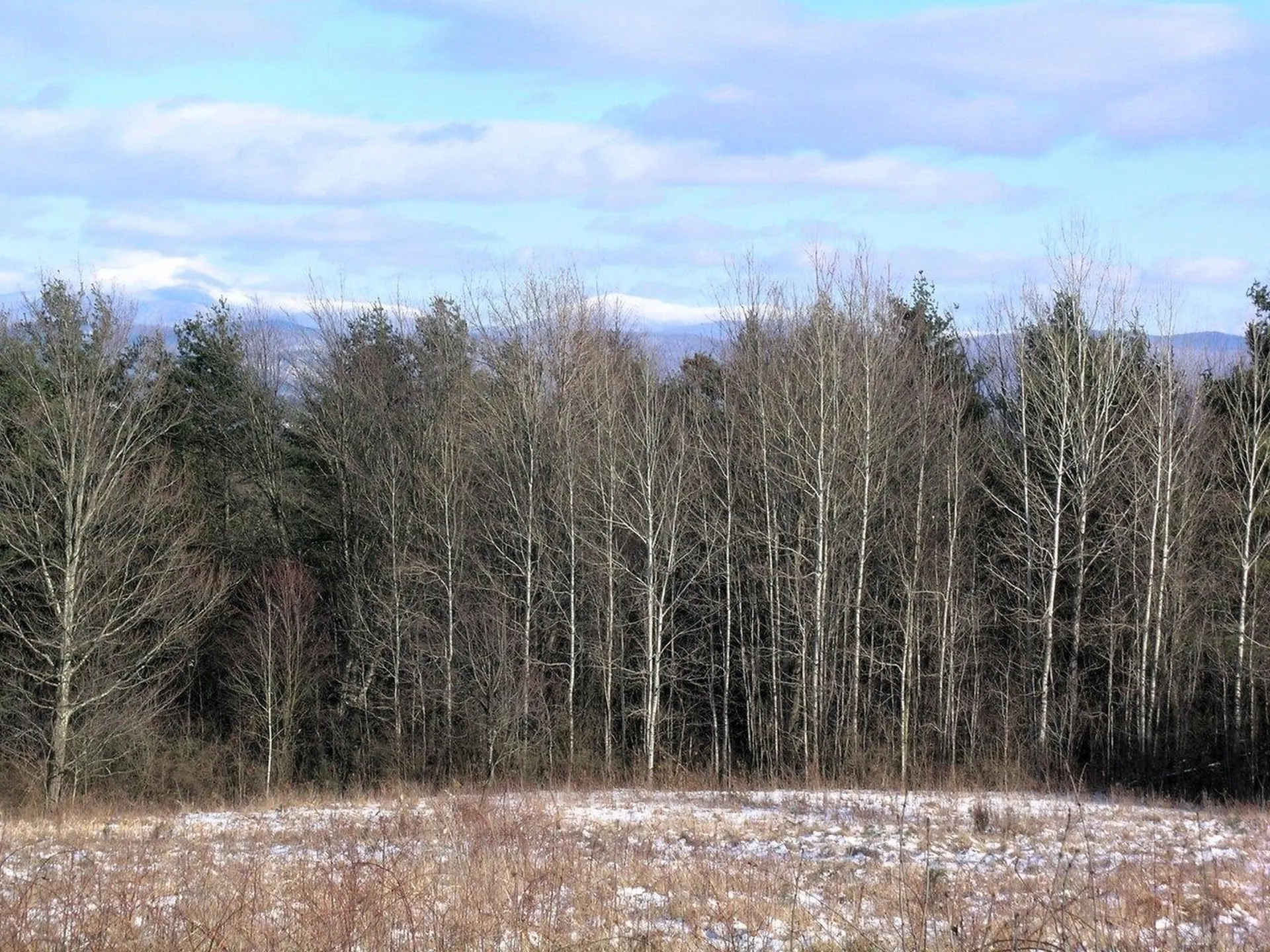 531 Breezy Hill Acres Monkton VT 05469