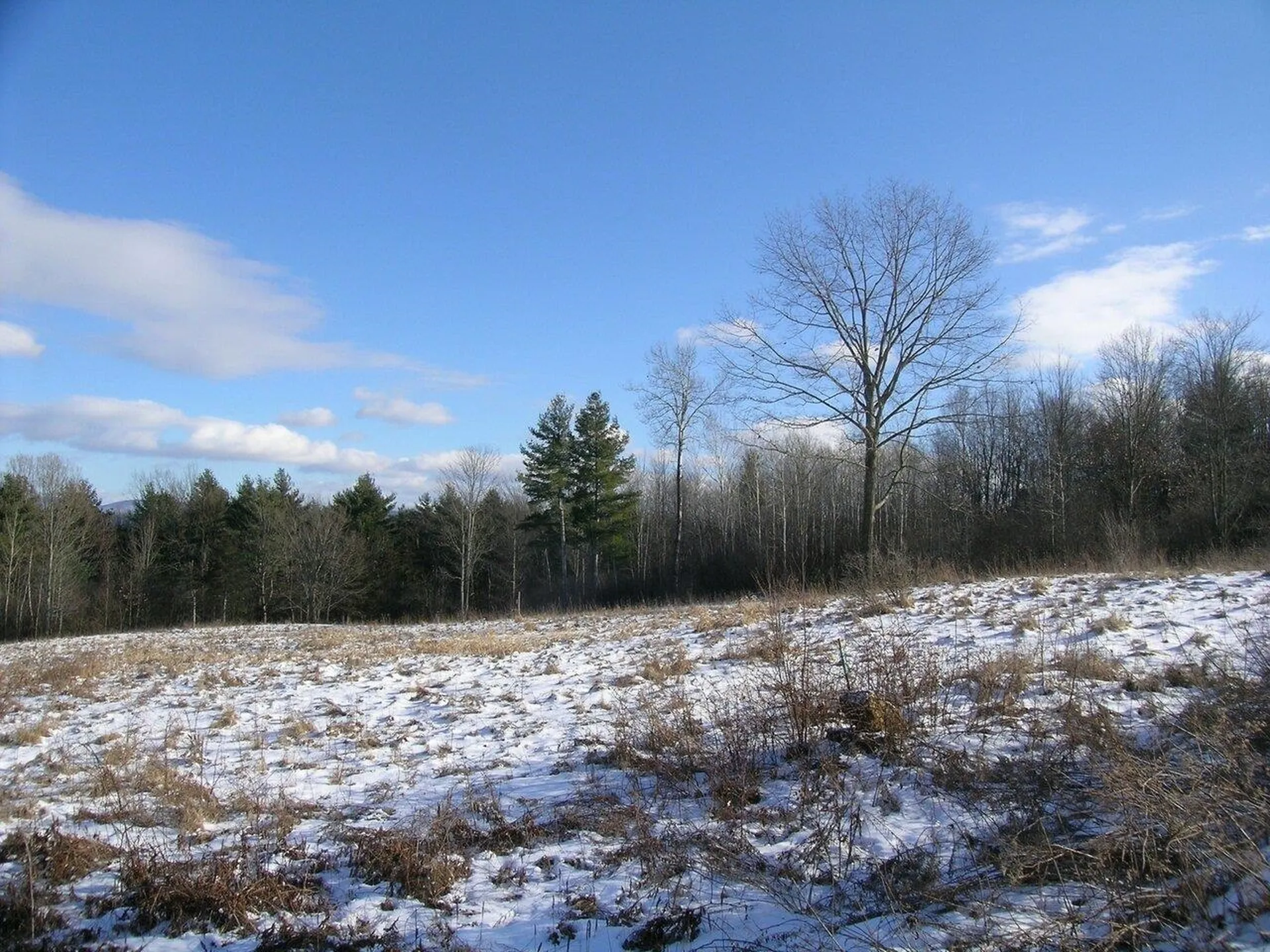 531 Breezy Hill Acres Monkton VT 05469