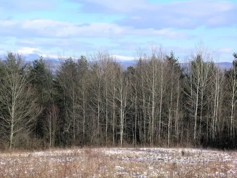 531 Breezy Hill Acres Monkton VT 05469