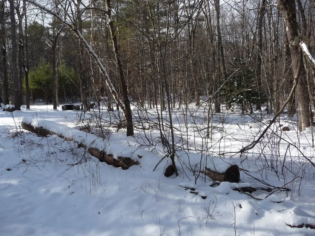 381 Shaw Road Northfield NH 03276