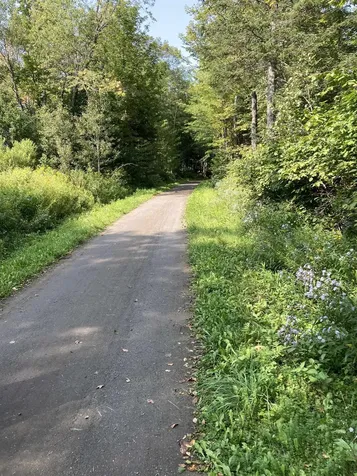 329 Old Homestead Road Danville VT 05828