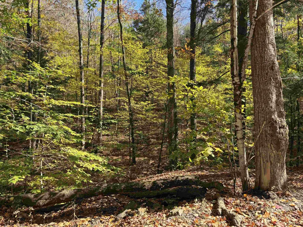 00 Quarry Road Chester VT 05143