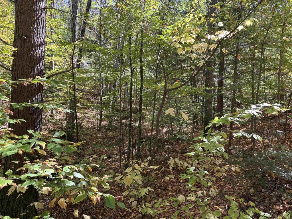 00 Quarry Road Chester VT 05143