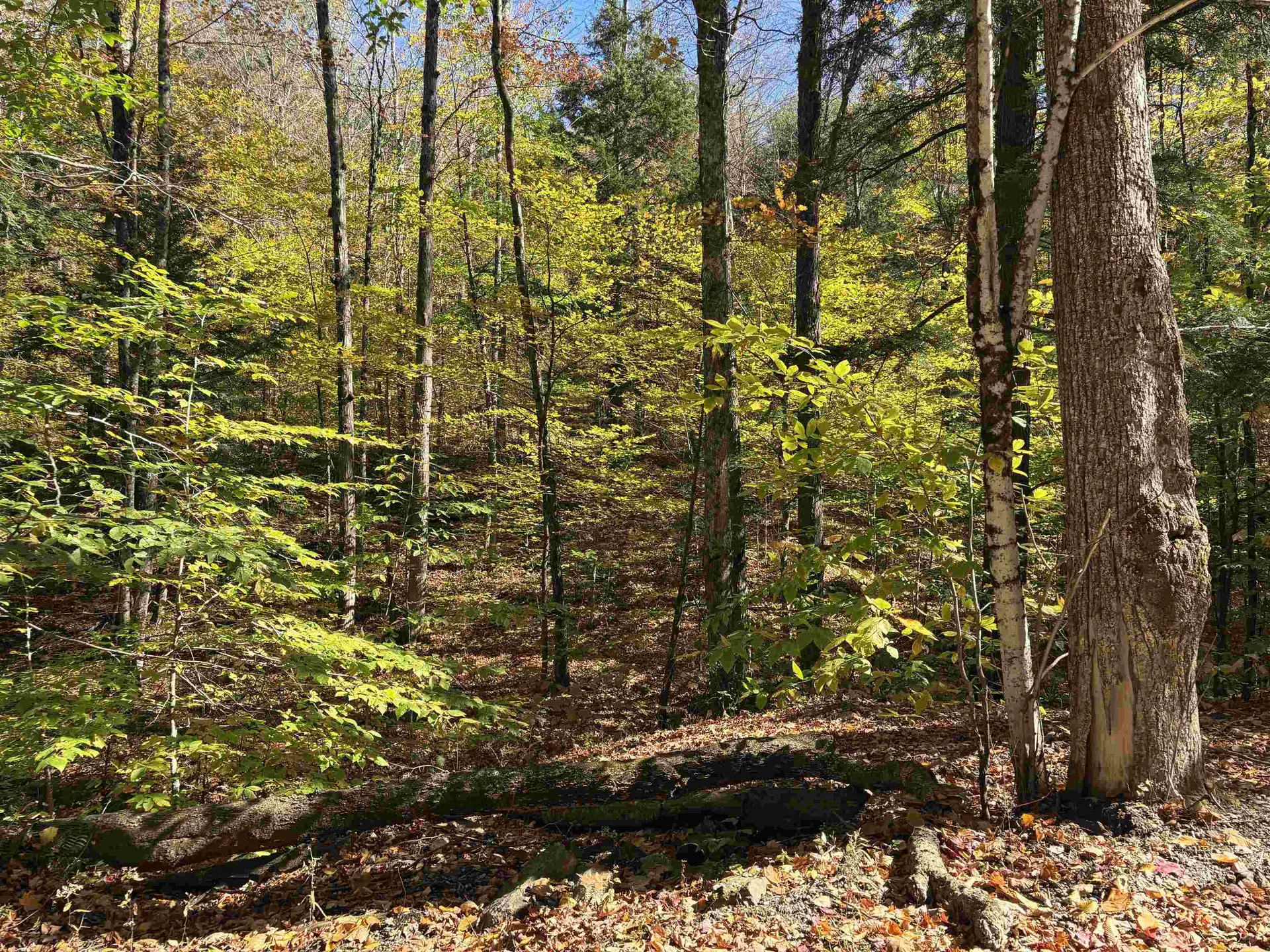 00 Quarry Road Chester VT 05143