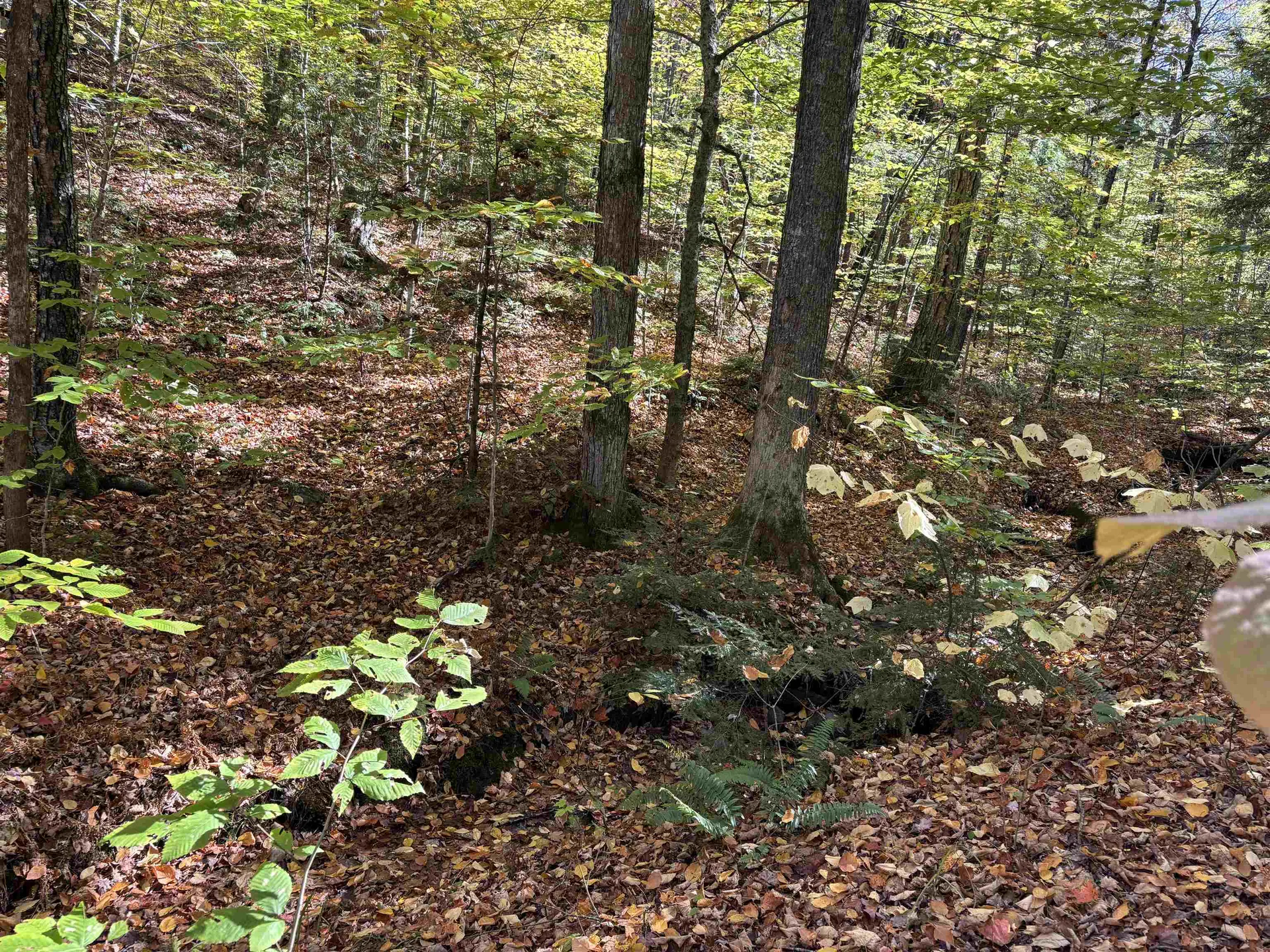 00 Quarry Road Chester VT 05143