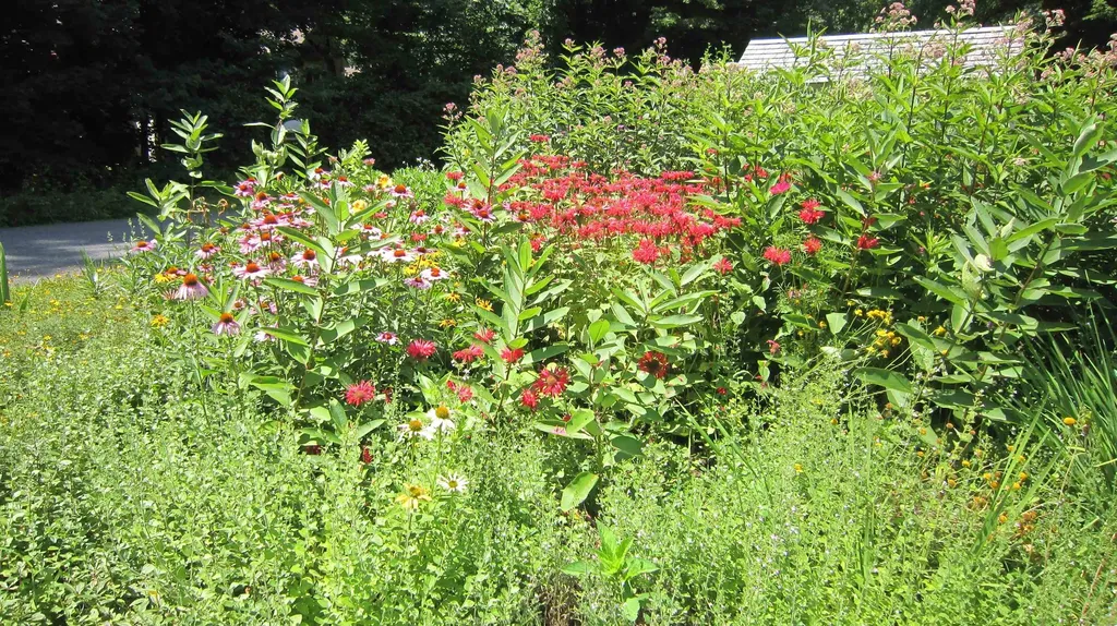 157 Morningside Commons Brattleboro VT 05301