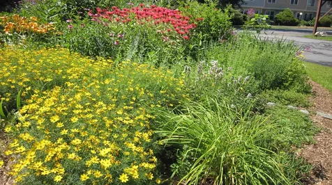157 Morningside Commons Brattleboro VT 05301