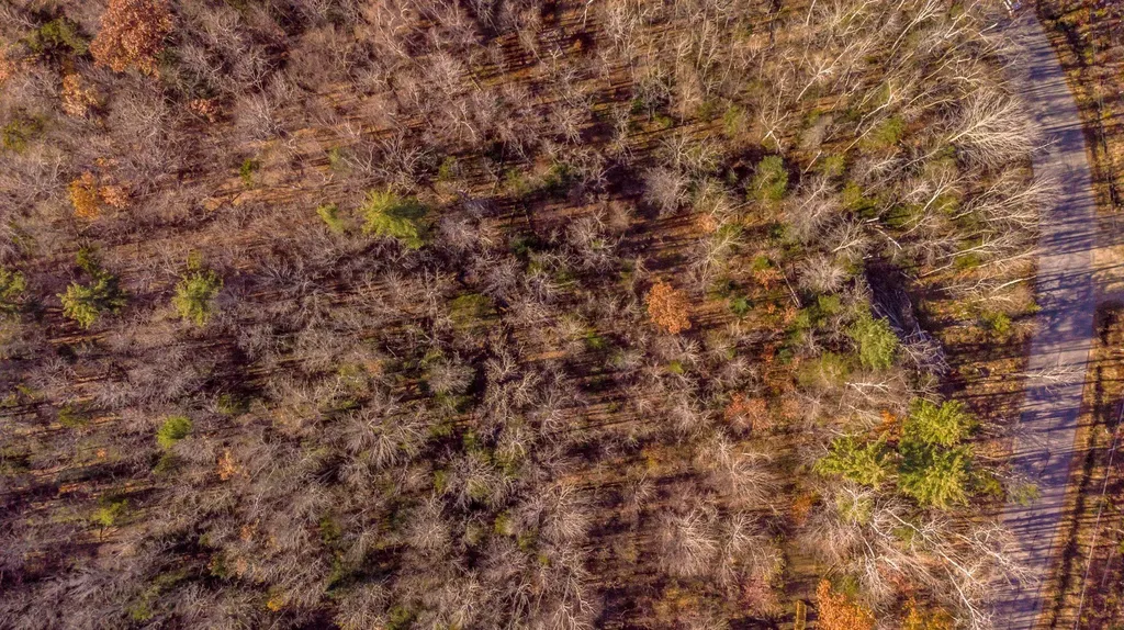 00 Tin Mine Road Jackson NH 03846